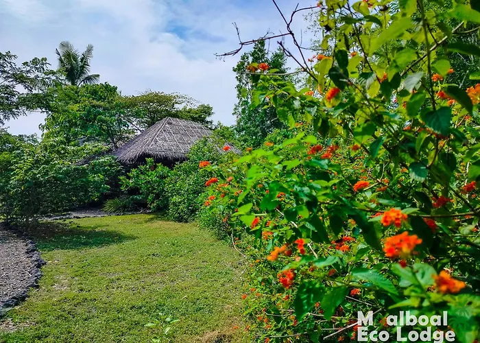 Moalboal Eco Lodge
