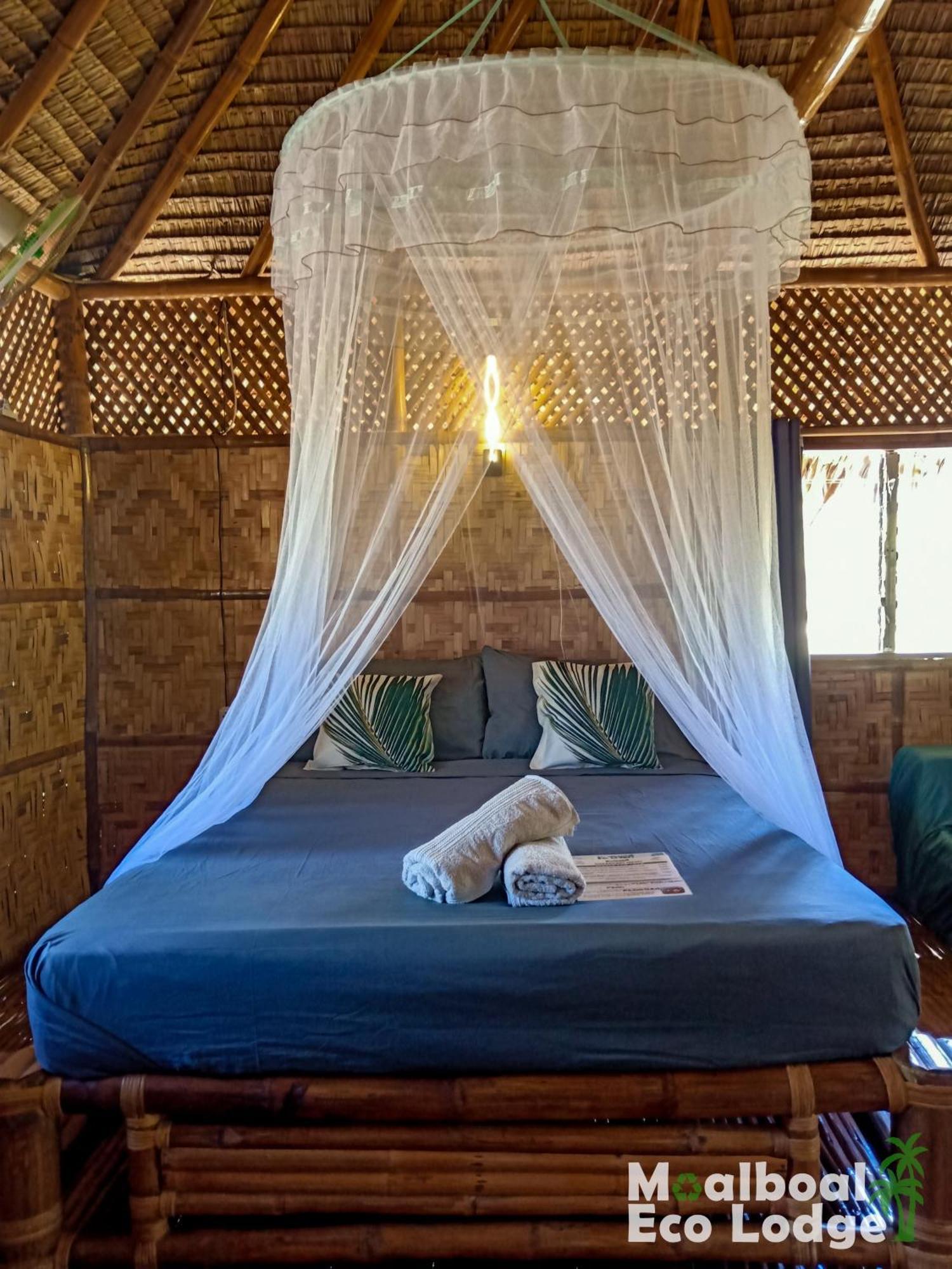 Lodge Eco *